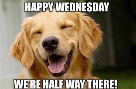 happy wednesday meme|More.